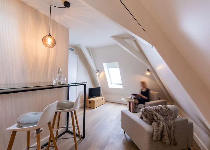 Stadsvilla Mout Rotterdam-schiedam ホテル スキーダム