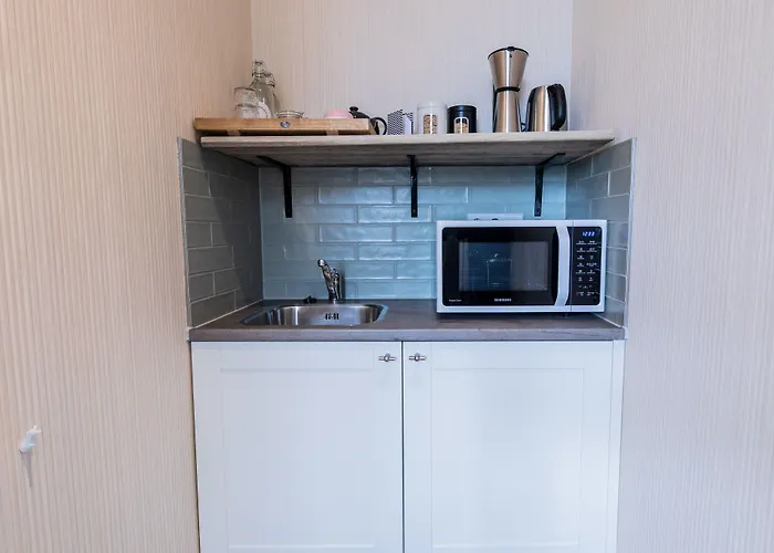 Stadsvilla Mout Rotterdam-schiedam スキーダム