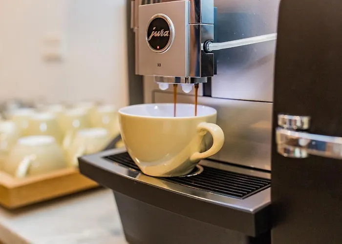 Stadsvilla Mout Rotterdam-schiedam ホテル スキーダム